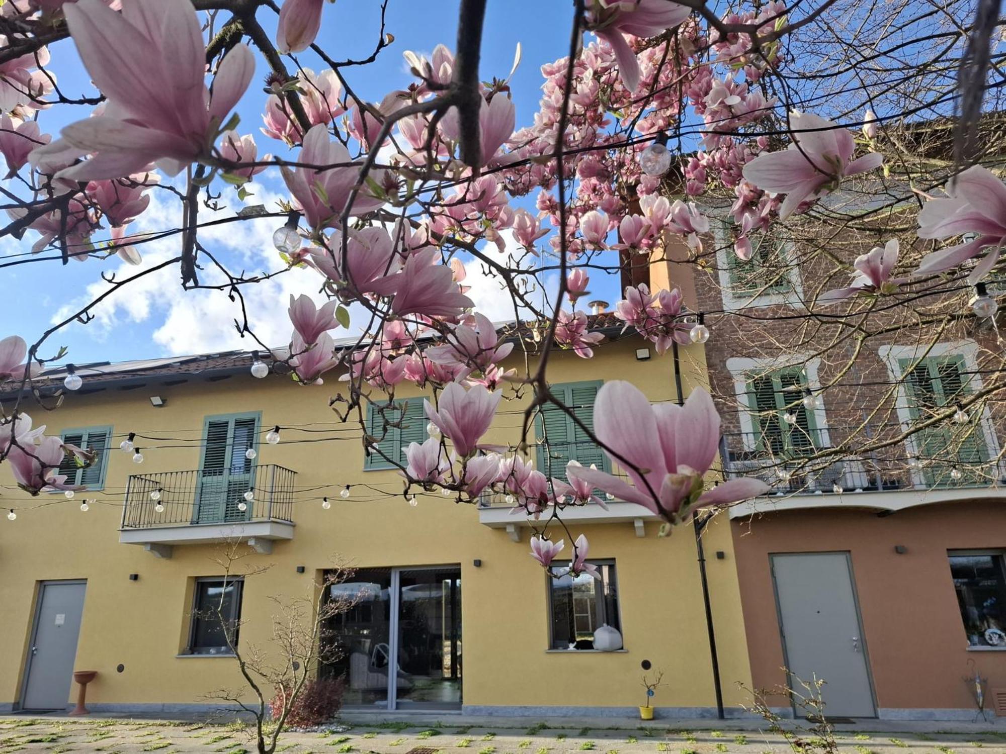 Villa Albina La Loggia Eksteriør billede